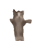 Status Image