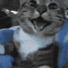 Status Image